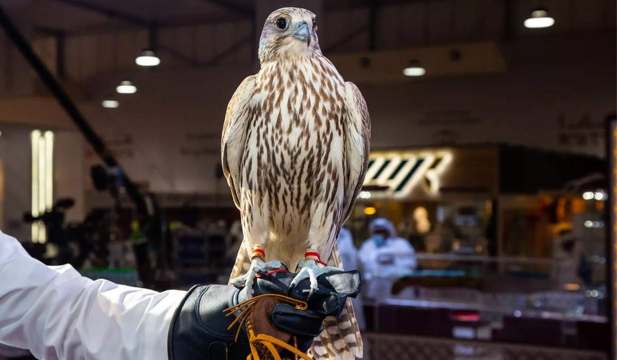International Hunting and Falcons Exhibition